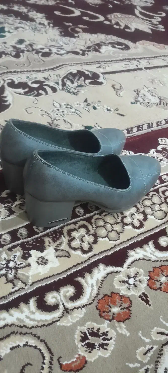 کفش زنانه مجلسی|کیف، کفش، کمربند|آبدانان, |دیوار