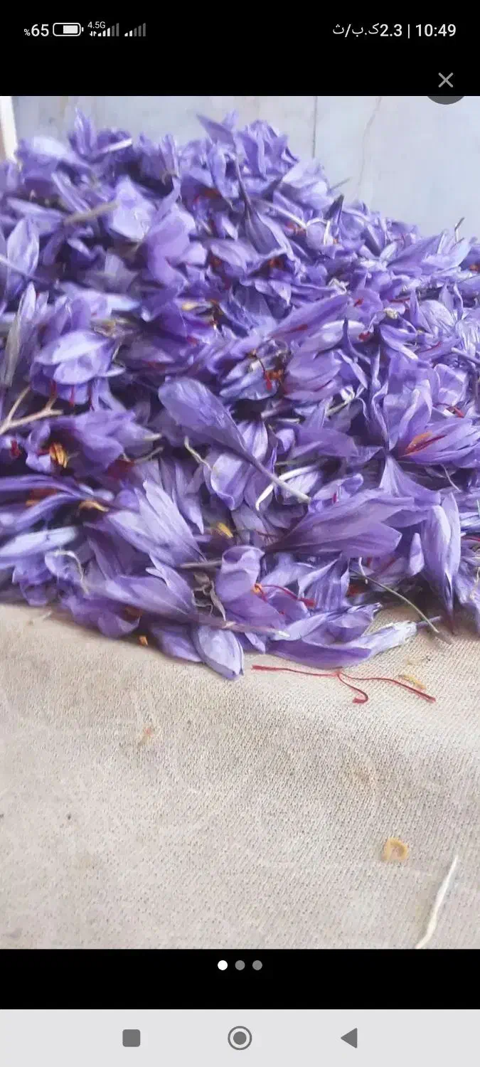 گل زعفران1950|خوردنی و آشامیدنی|سبزوار, شرق کال جنوبی (شمس آبادی)|دیوار