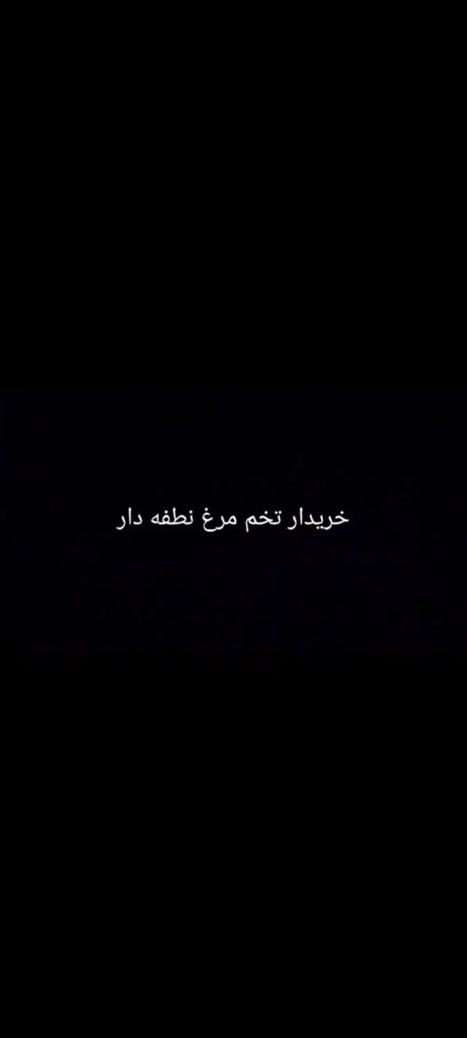 تخم مرغ نطفه دار|حیوانات مزرعه|رامهرمز, |دیوار