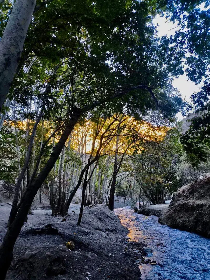 کارگری|خدمات پیشه و مهارت|ارومیه, |دیوار