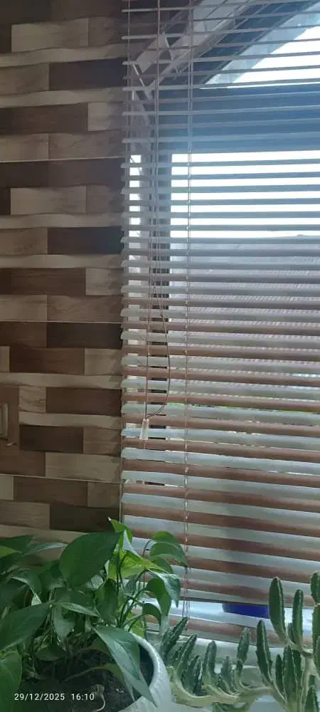 فروش پرده و کرکره|پرده، رانر، رومیزی|آستانه اشرفیه, |دیوار