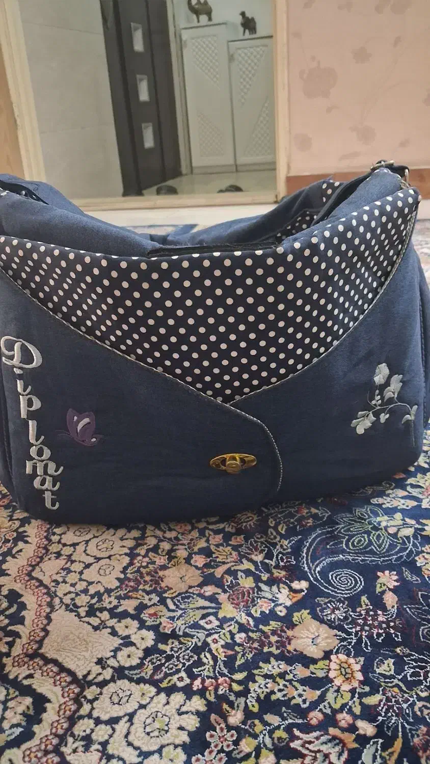 کریر وروروک وساک بچه|کالسکه و لوازم جانبی|تهران, وصفنارد|دیوار