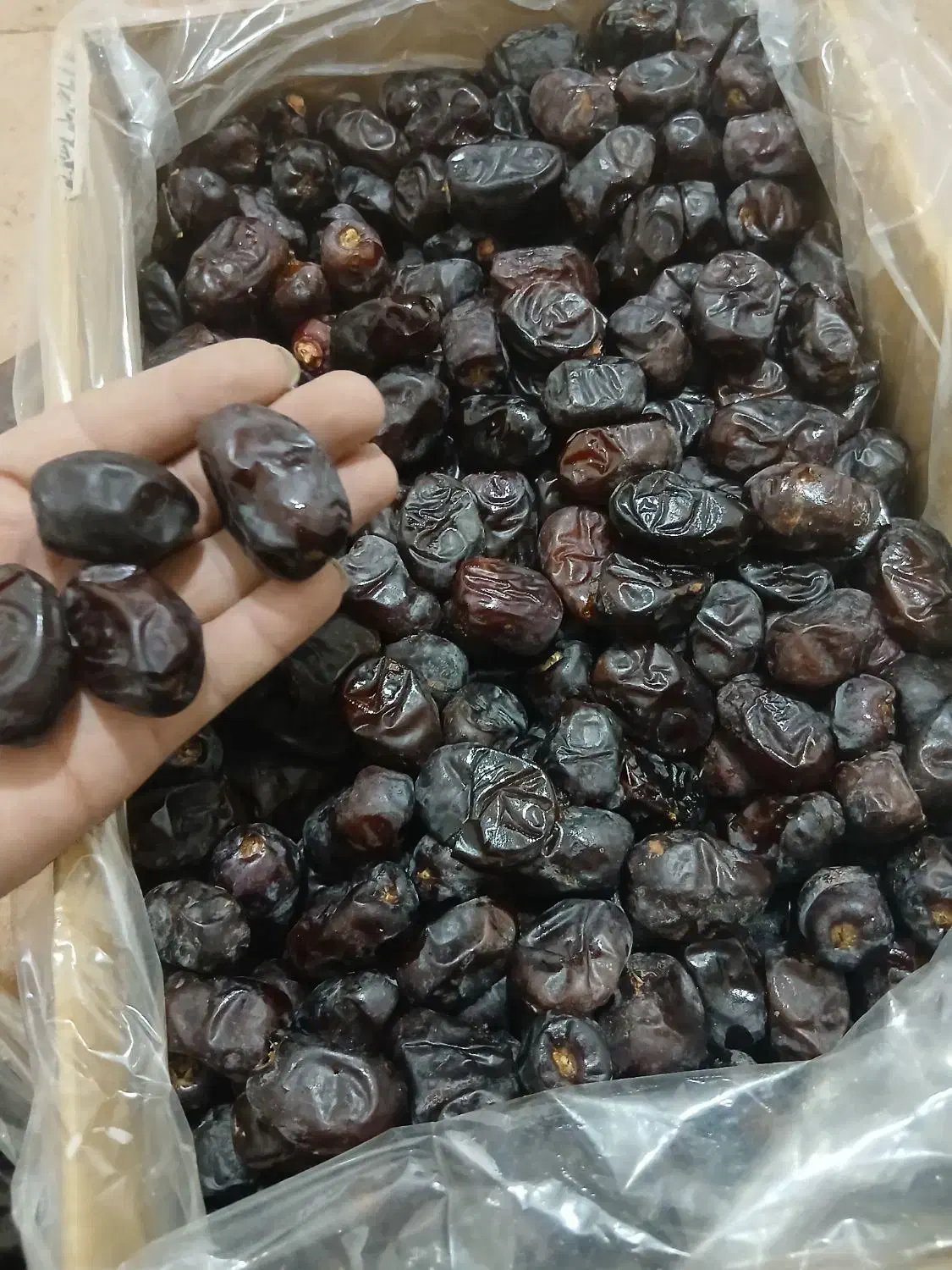 سلام خرما ۳ کیلوی|عمدهفروشی|بم, |دیوار