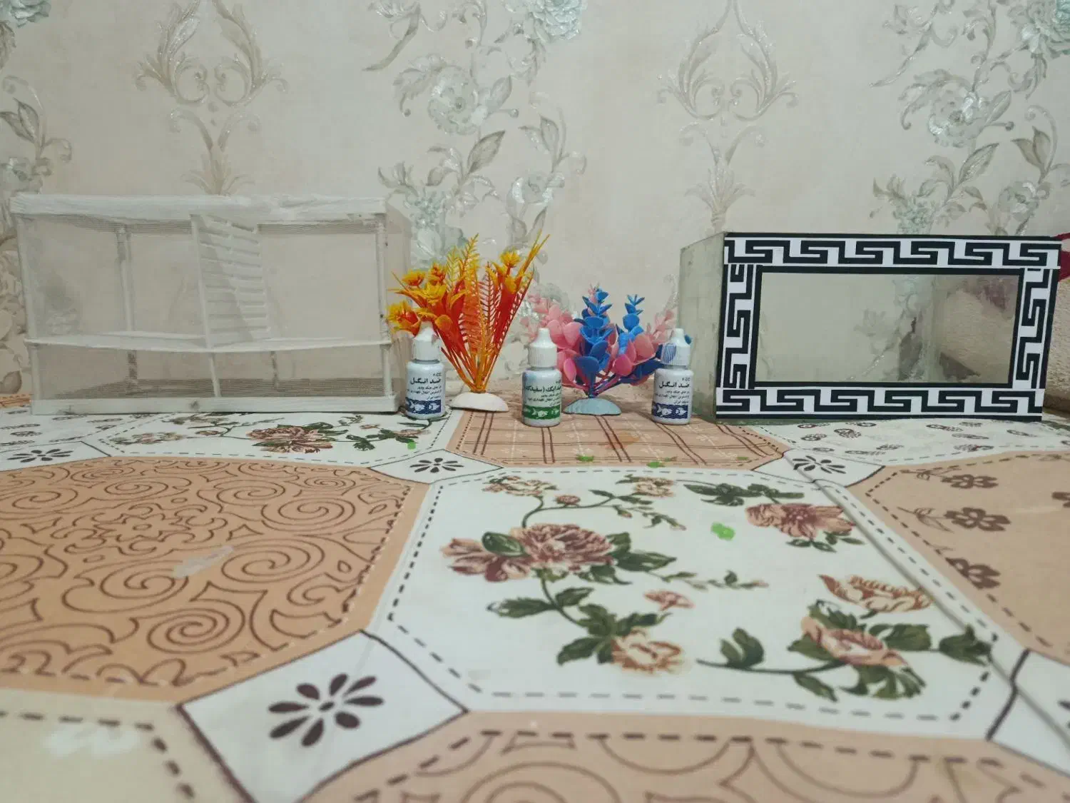 آکواریوم و زایشگاه و گل|ماهی|ملایر, |دیوار