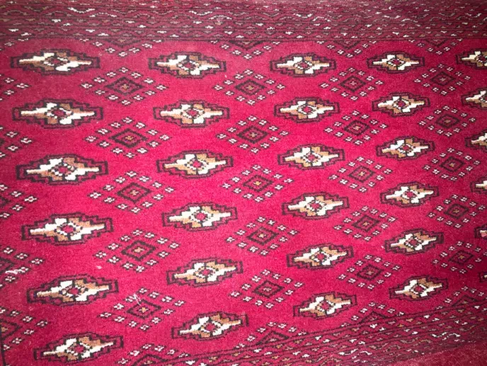 قالی و قالیچه دستی وپشتی دستی|فرش|نیشابور, شهرک بسیج|دیوار