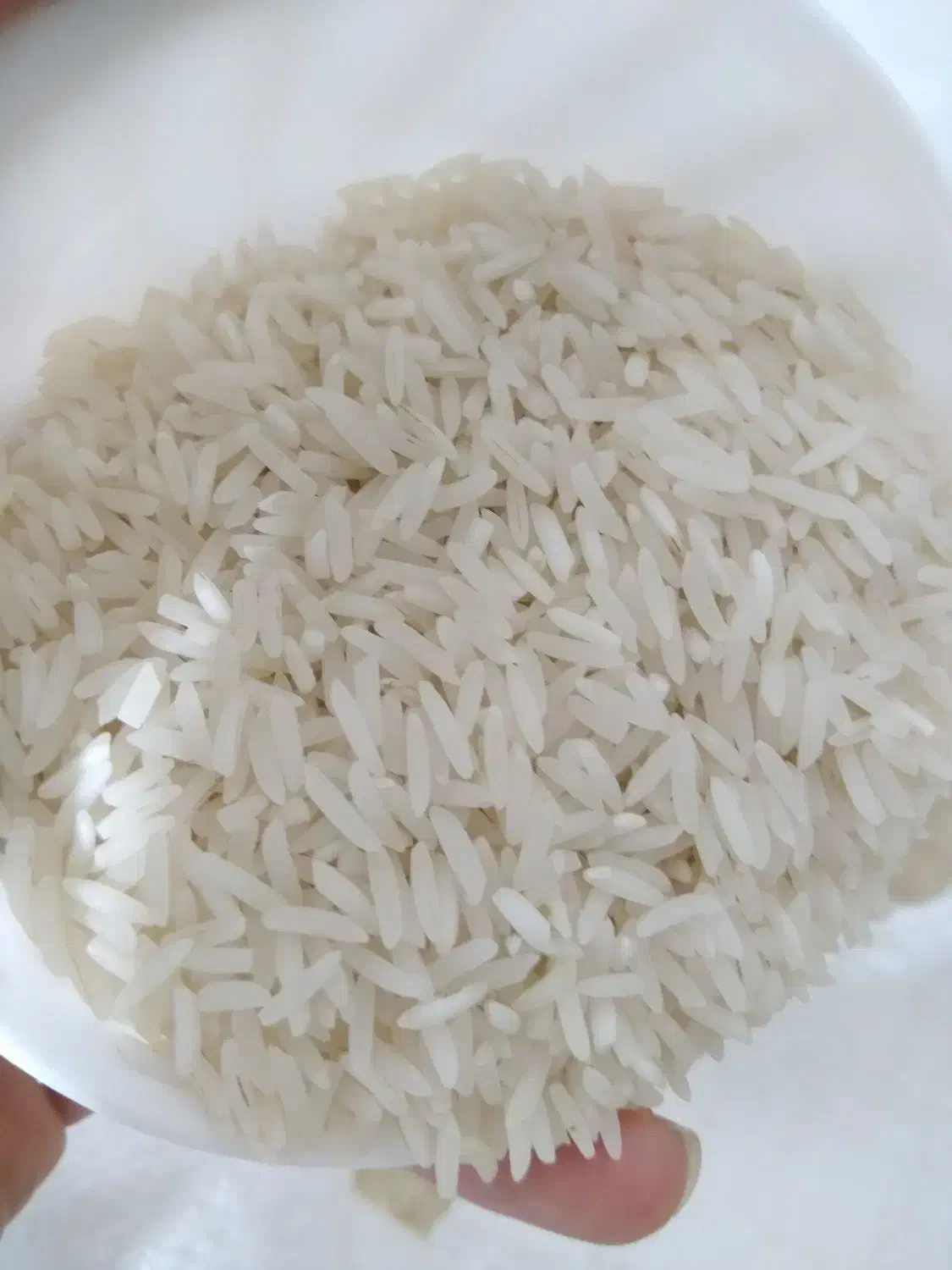 برنج ایرانی|خوردنی و آشامیدنی|بهار, |دیوار