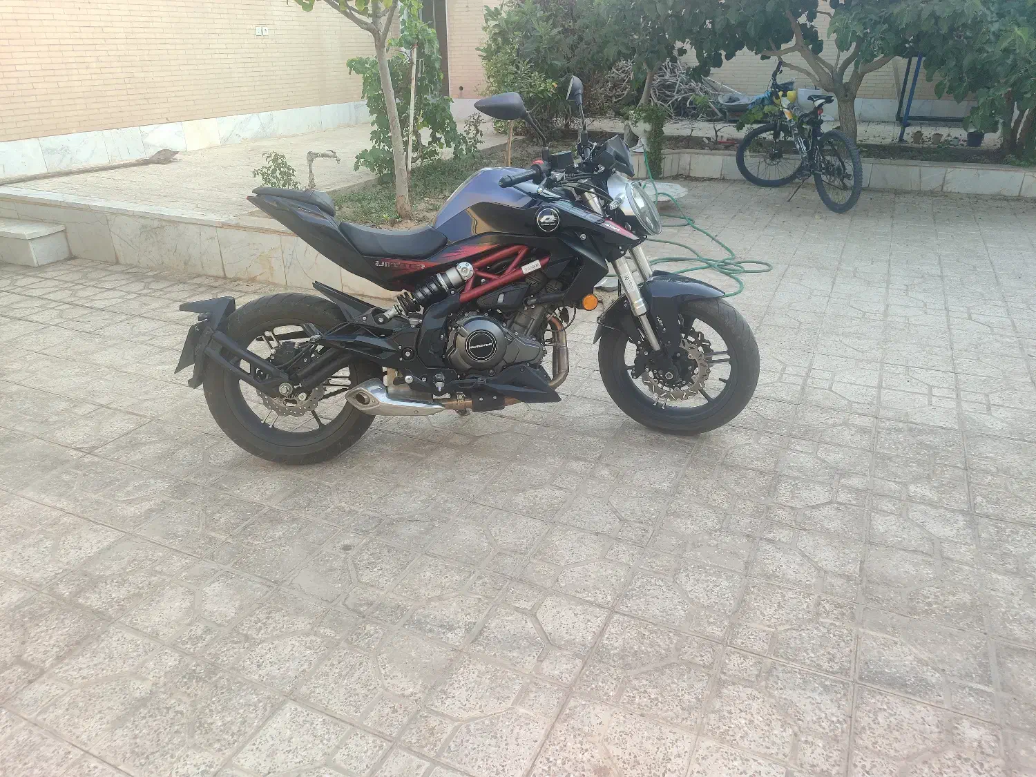 کیوجی 300 بنلی Qj|موتورسیکلت|یزد, |دیوار