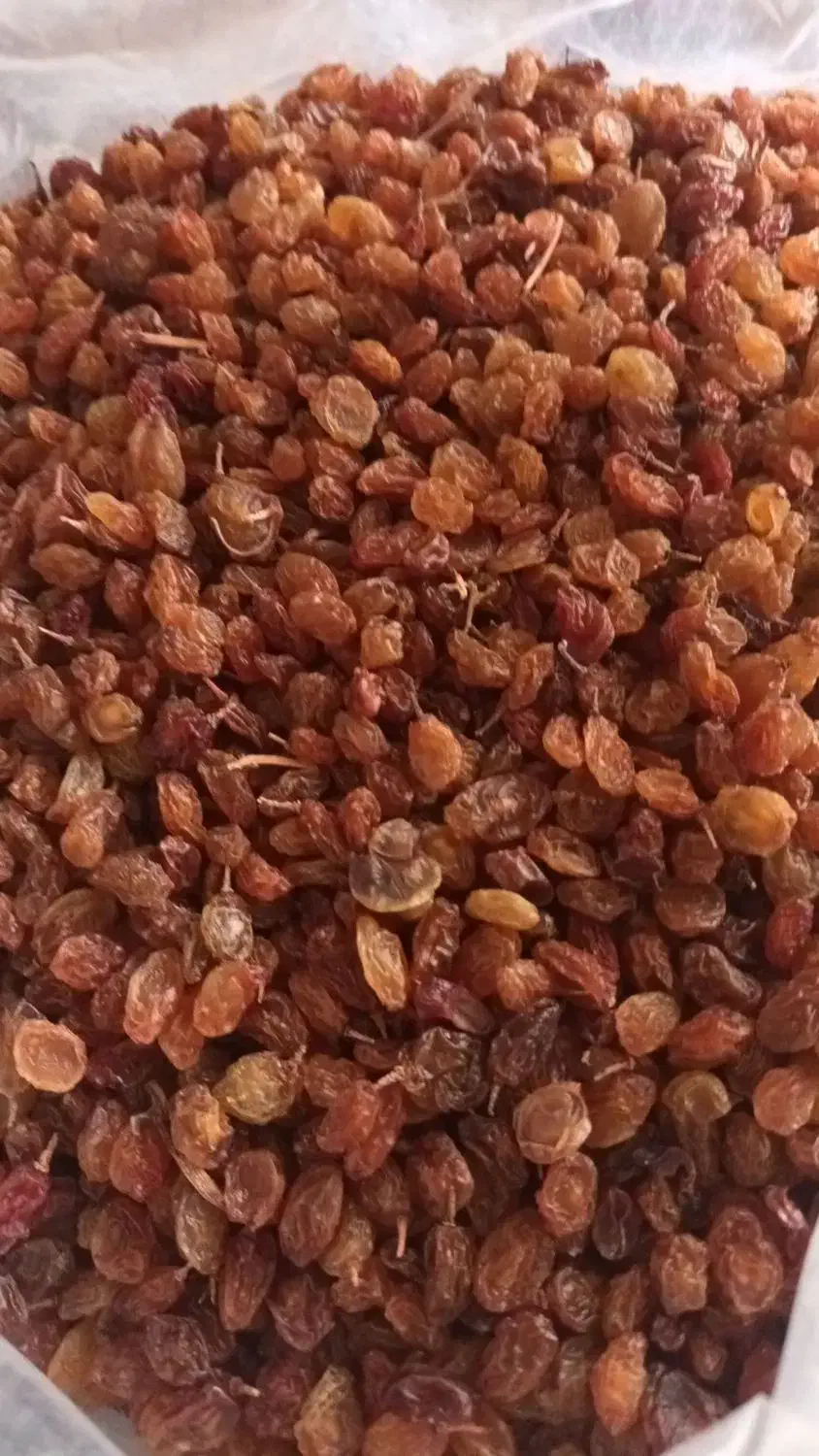 کشمش|خوردنی و آشامیدنی|زنجان, |دیوار