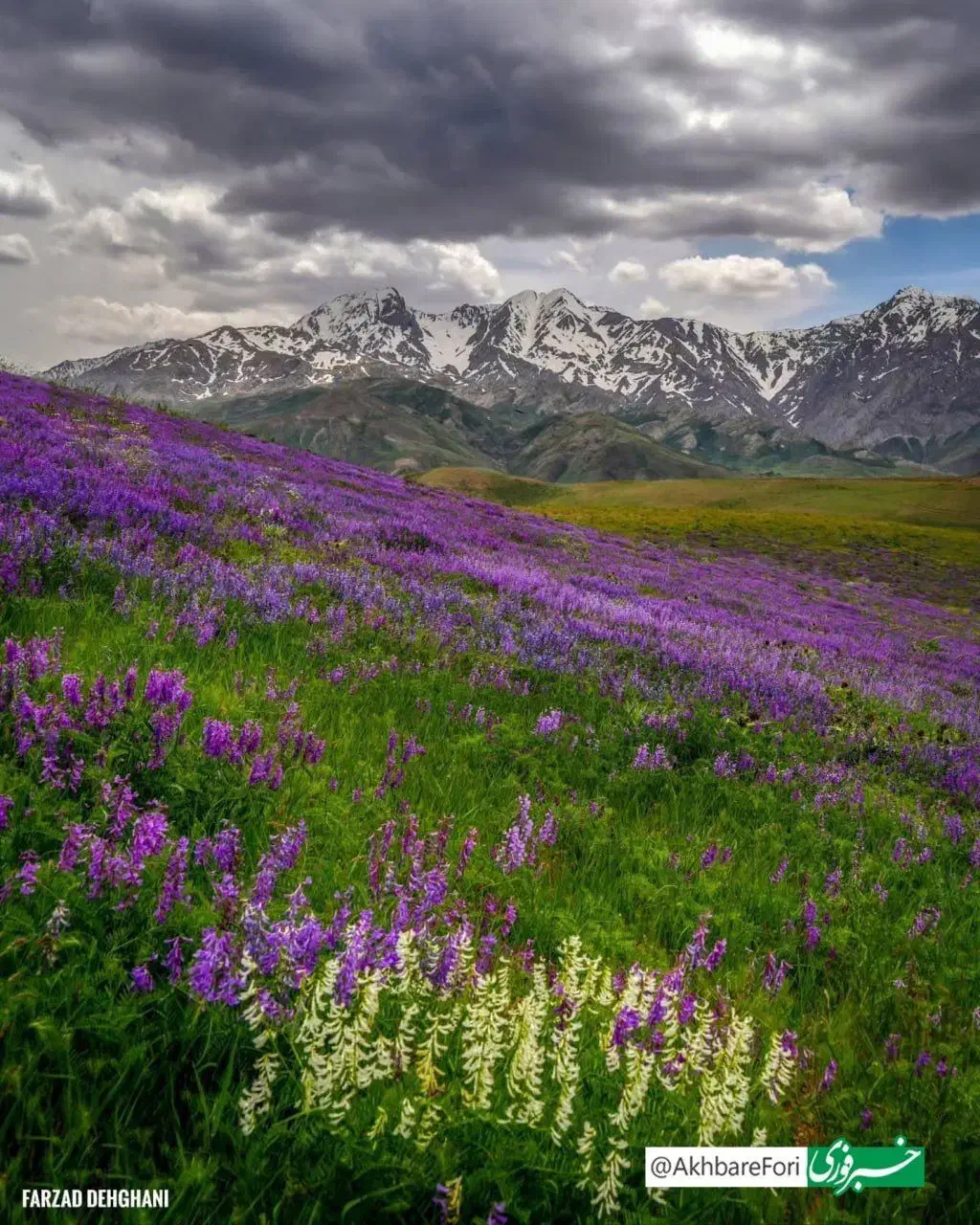 زمین|فروش زمین و ملک کلنگی|دورود, |دیوار