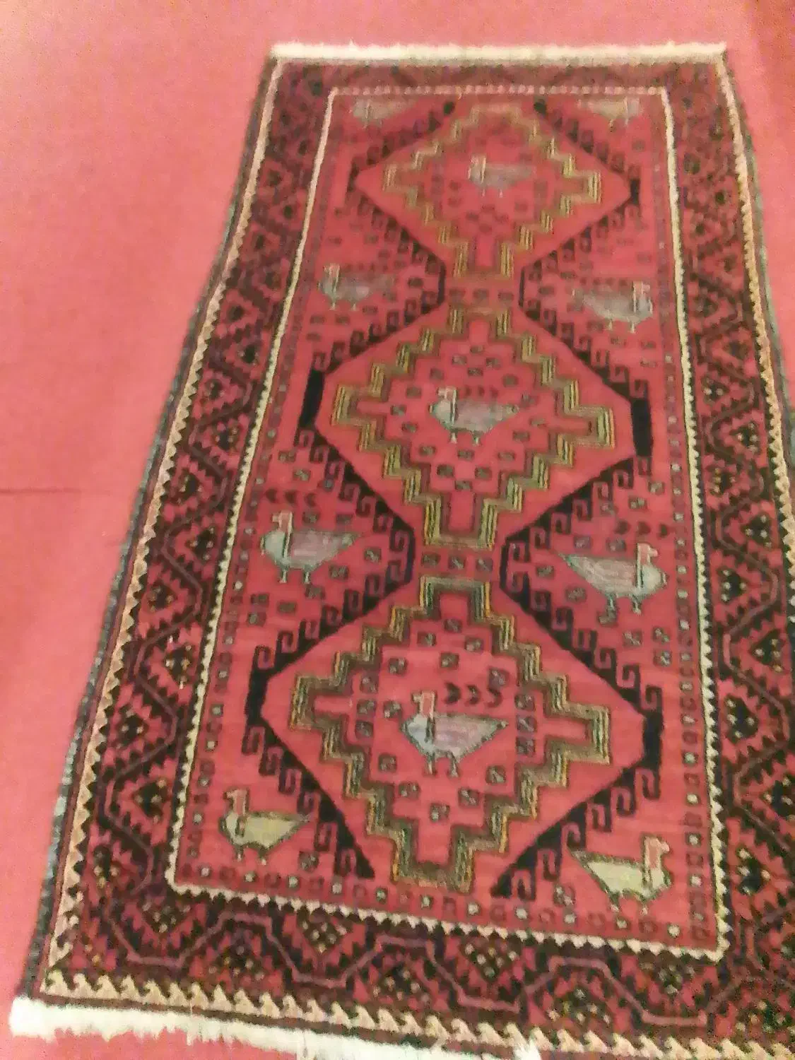 قالیچه دست باف|فرش|مشهد, سید رضی|دیوار