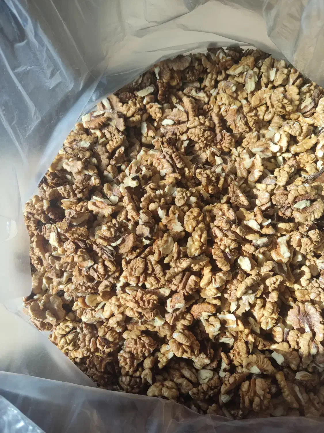 مغز گردوی سفید|خوردنی و آشامیدنی|پاوه, |دیوار