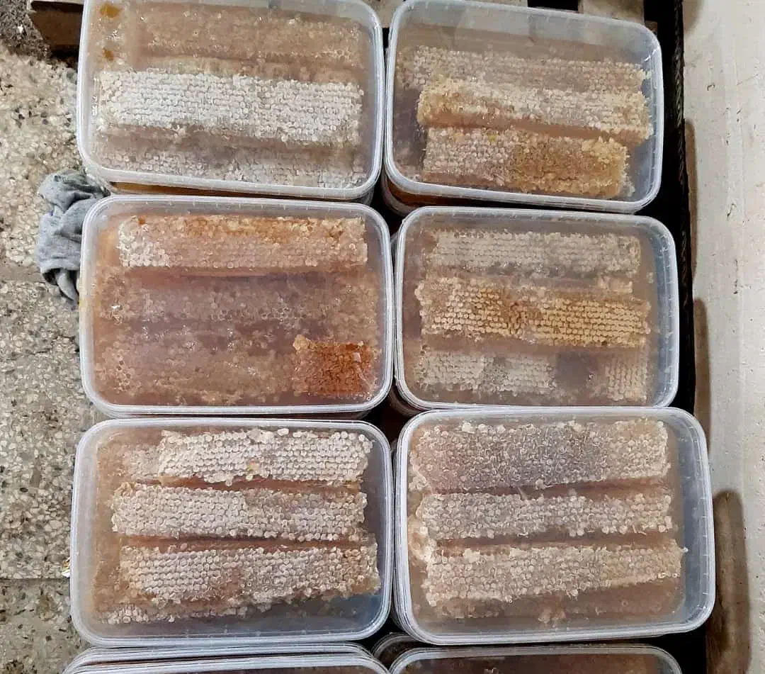 فروش عسل عسل درجه یک|خوردنی و آشامیدنی|شیراز, شهرک سعدی|دیوار