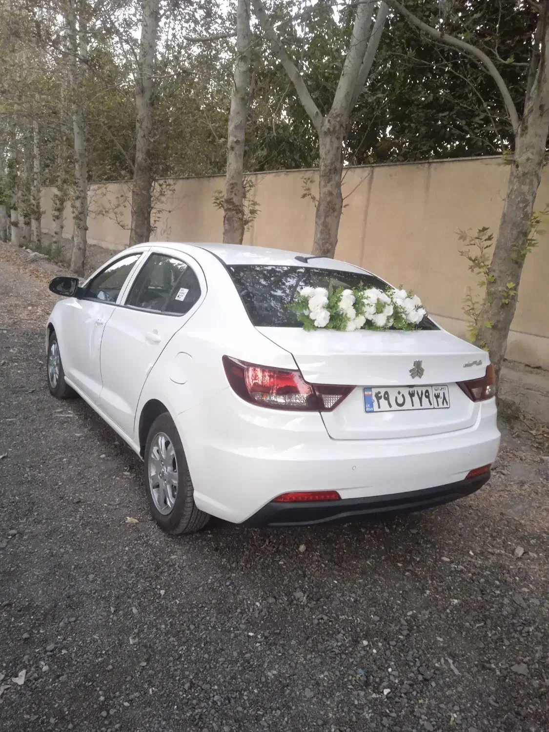 اجاره ماشین عروس شاهین|گل و گیاه طبیعی|فردیس, شهرک راه آهن|دیوار