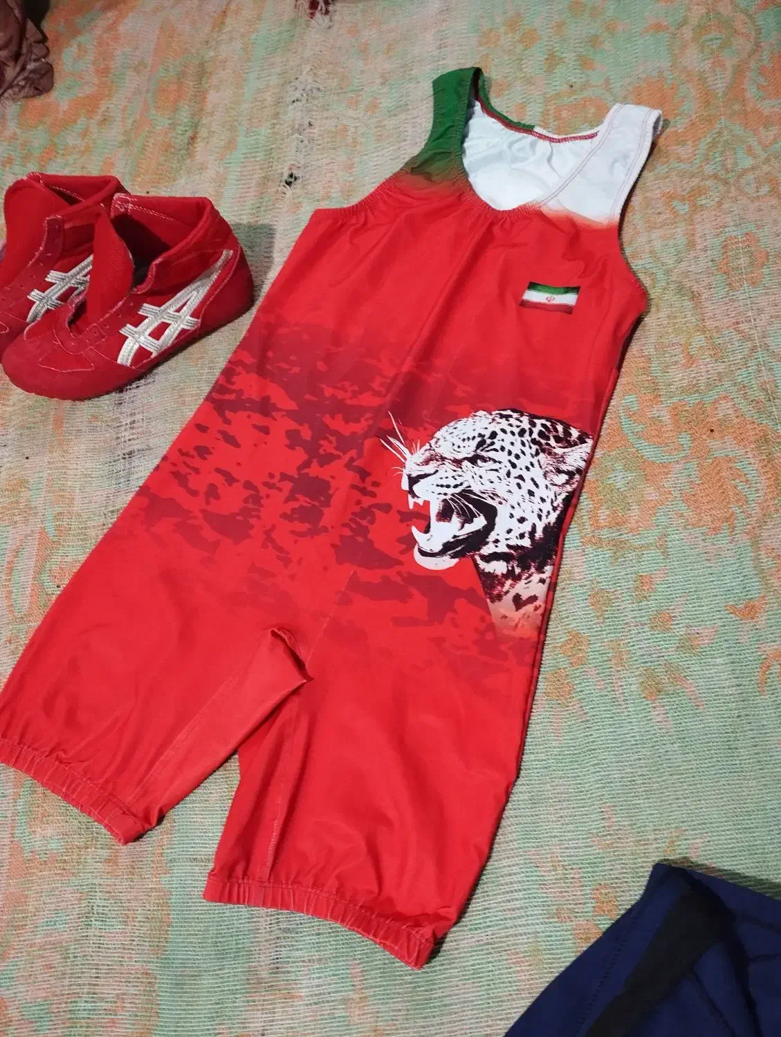 لوازم کُشتی|لباس|هشتگرد, گلسار|دیوار