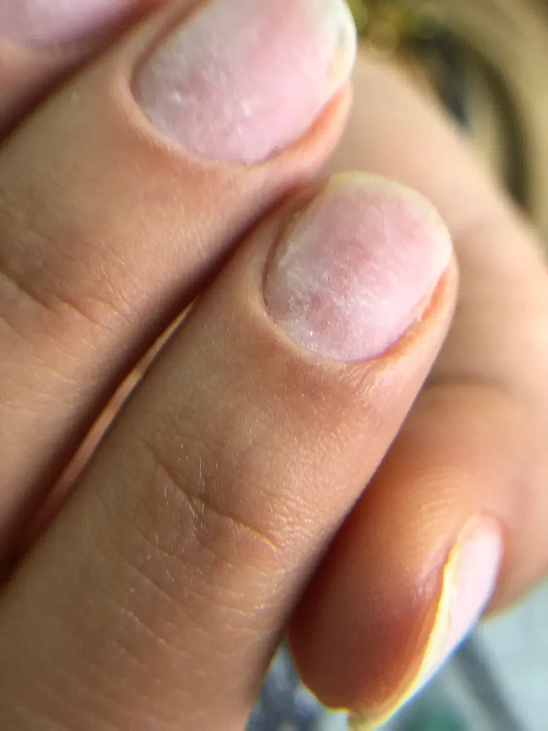 آموزش کاشت ناخن|خدمات آموزشی|قائم‌شهر, |دیوار