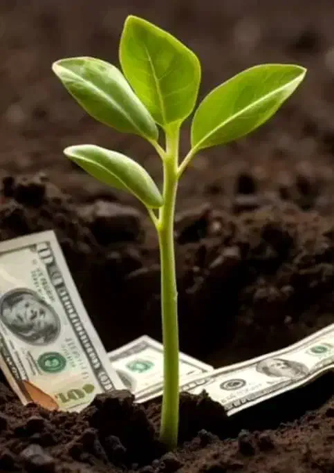 شراکت / شریک / سرمایه گذاری / مشارکت|استخدام مالی، حسابداری، حقوقی|تهران, صادقیه|دیوار