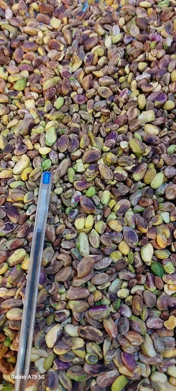 مغز پسته تناژ|عمدهفروشی|ابرکوه, |دیوار