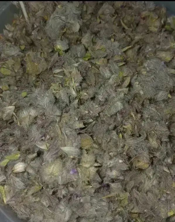 چایی درجه یک|حراج|ملایر, |دیوار