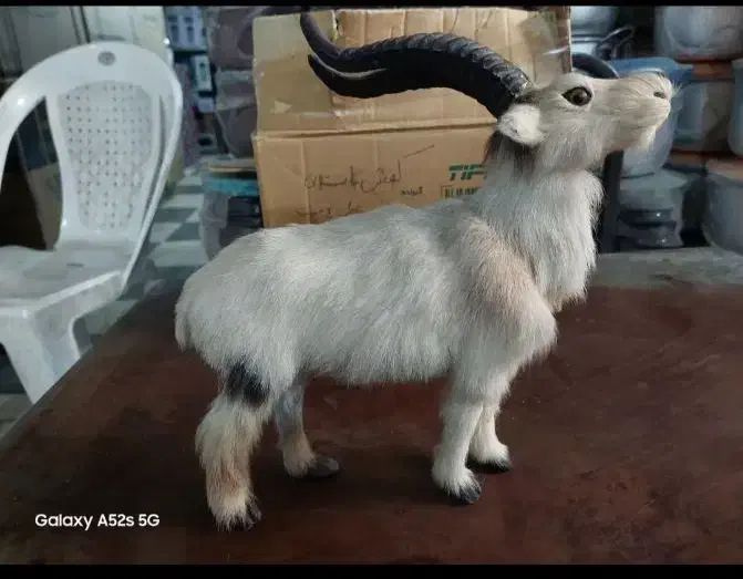 بز مصنوئی دست ساز|صنایع دستی و سایر لوازم تزئینی|تهران, سازمان برنامه جنوبی|دیوار