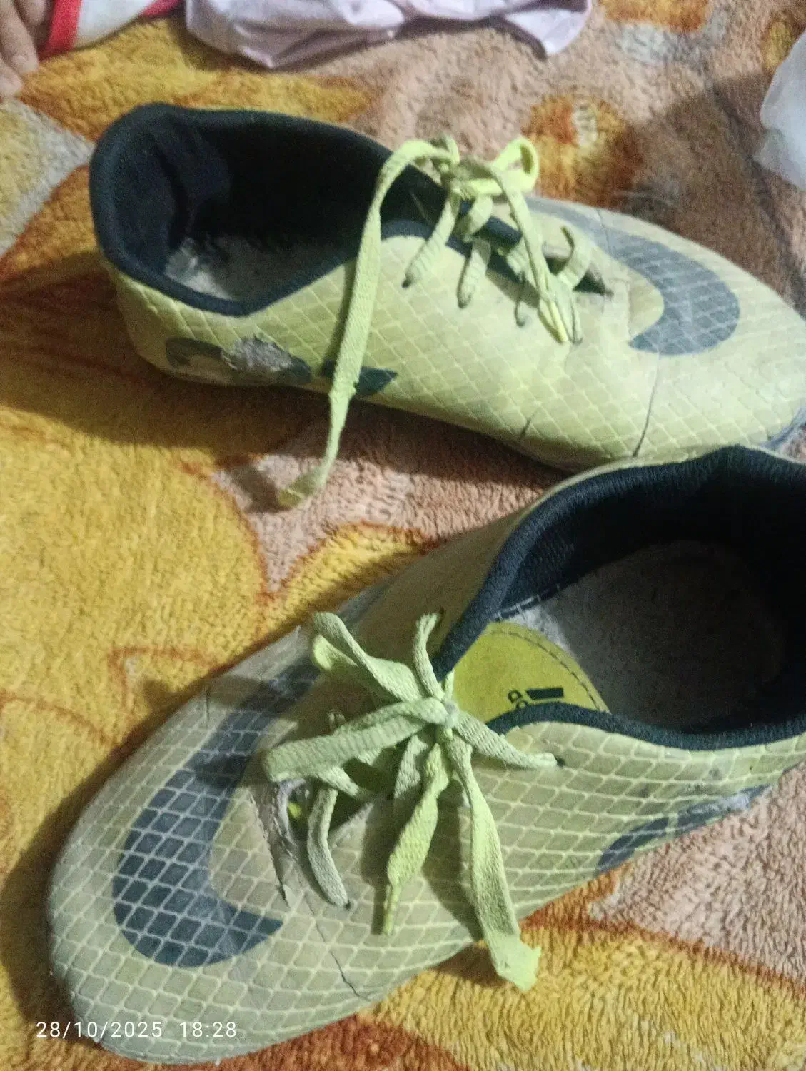 کفش ورزشی|کیف، کفش، کمربند|زرند, |دیوار