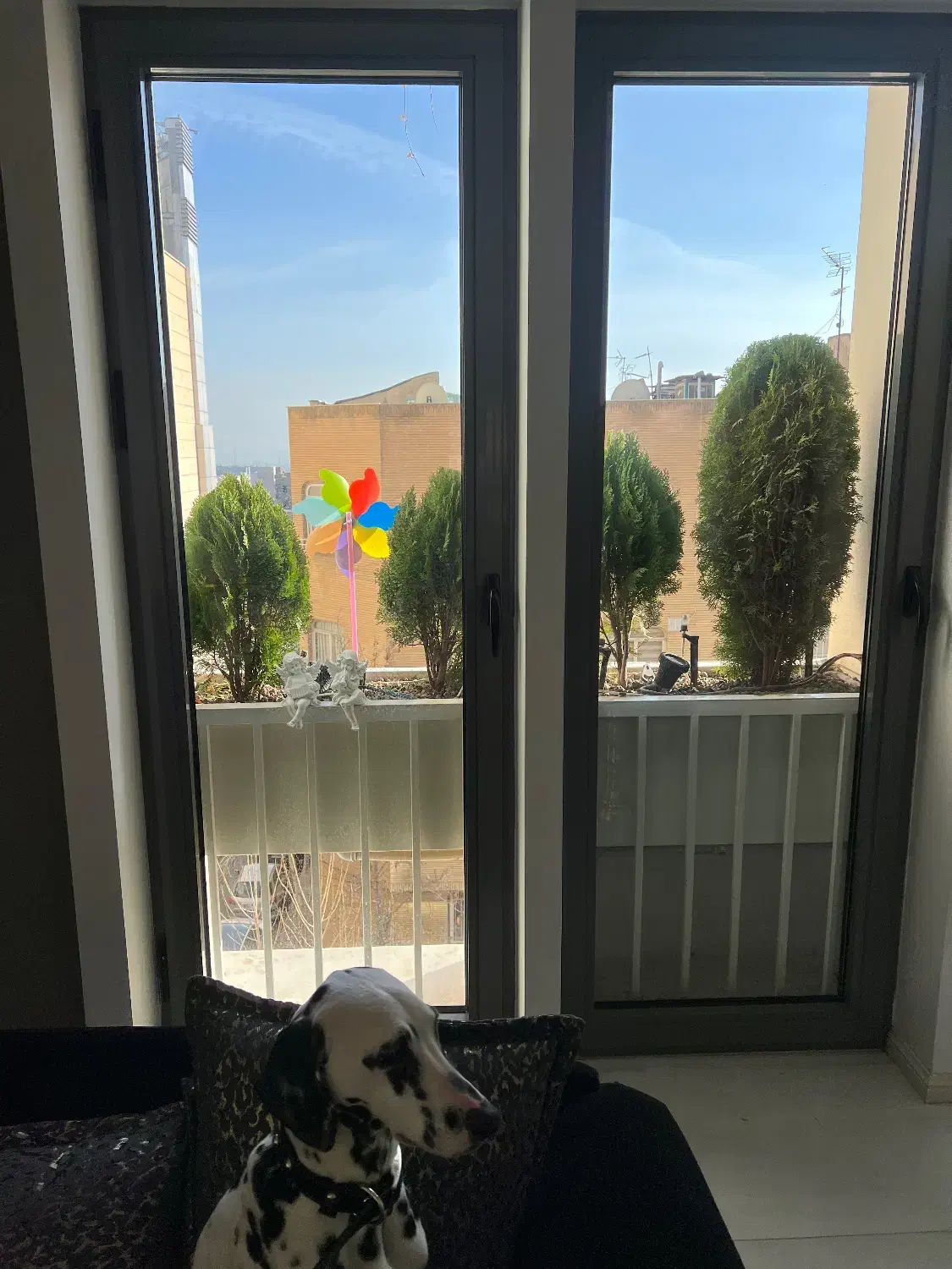 ۱۳۵ مترجنت آباد جنوبی سازه ای فاخر و بی تکرار|اجارهٔ آپارتمان|تهران, جنتآباد جنوبی|دیوار