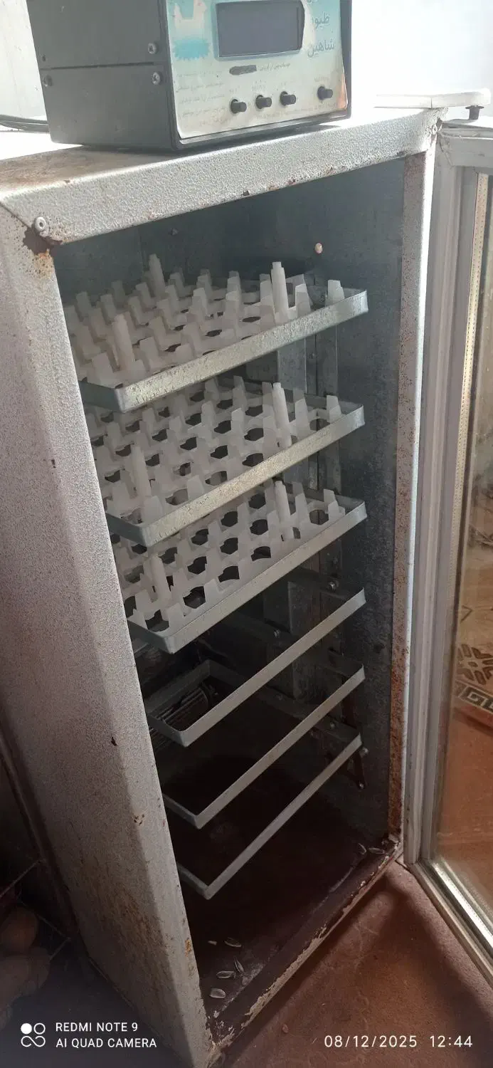 دستگاه جوجه کشی|لوازم جانبی حیوانات|نقده, |دیوار