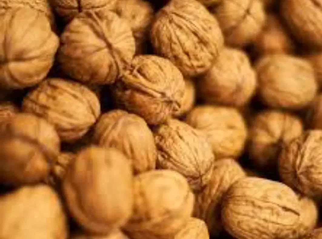 محصولات خانگی|خوردنی و آشامیدنی|نسیم‌شهر, |دیوار