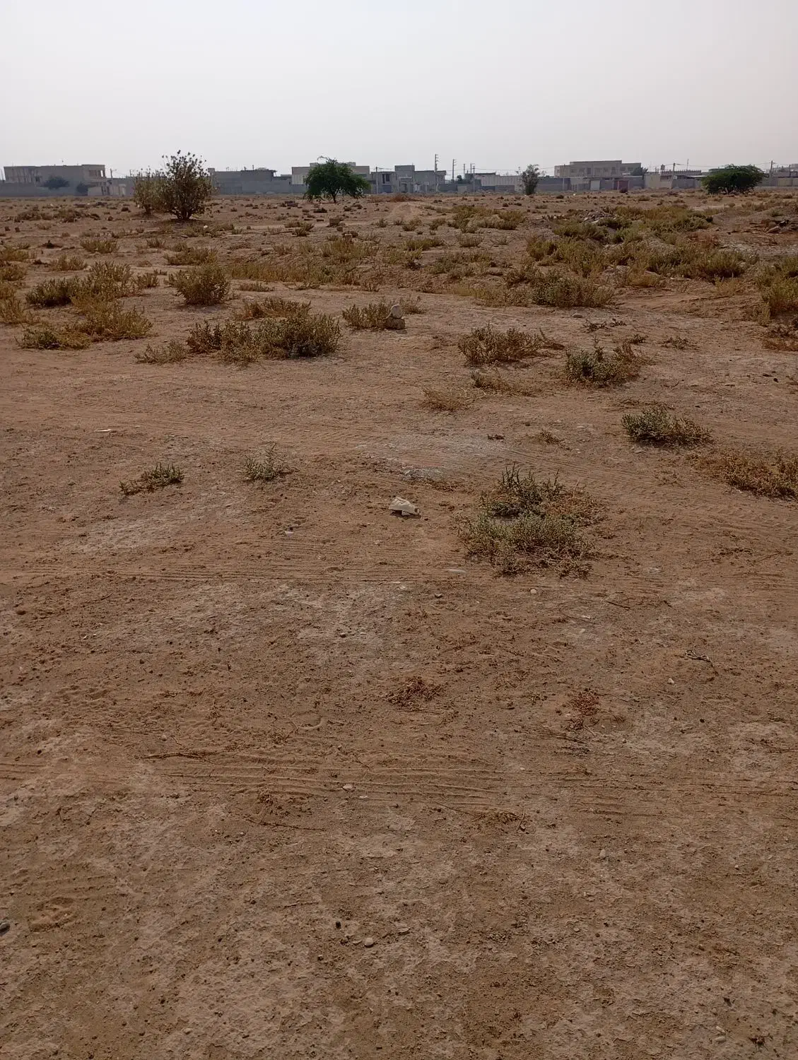 آبپخش زمین 200متری کشاورزی|فروش زمین و ملک کلنگی|آبپخش, |دیوار