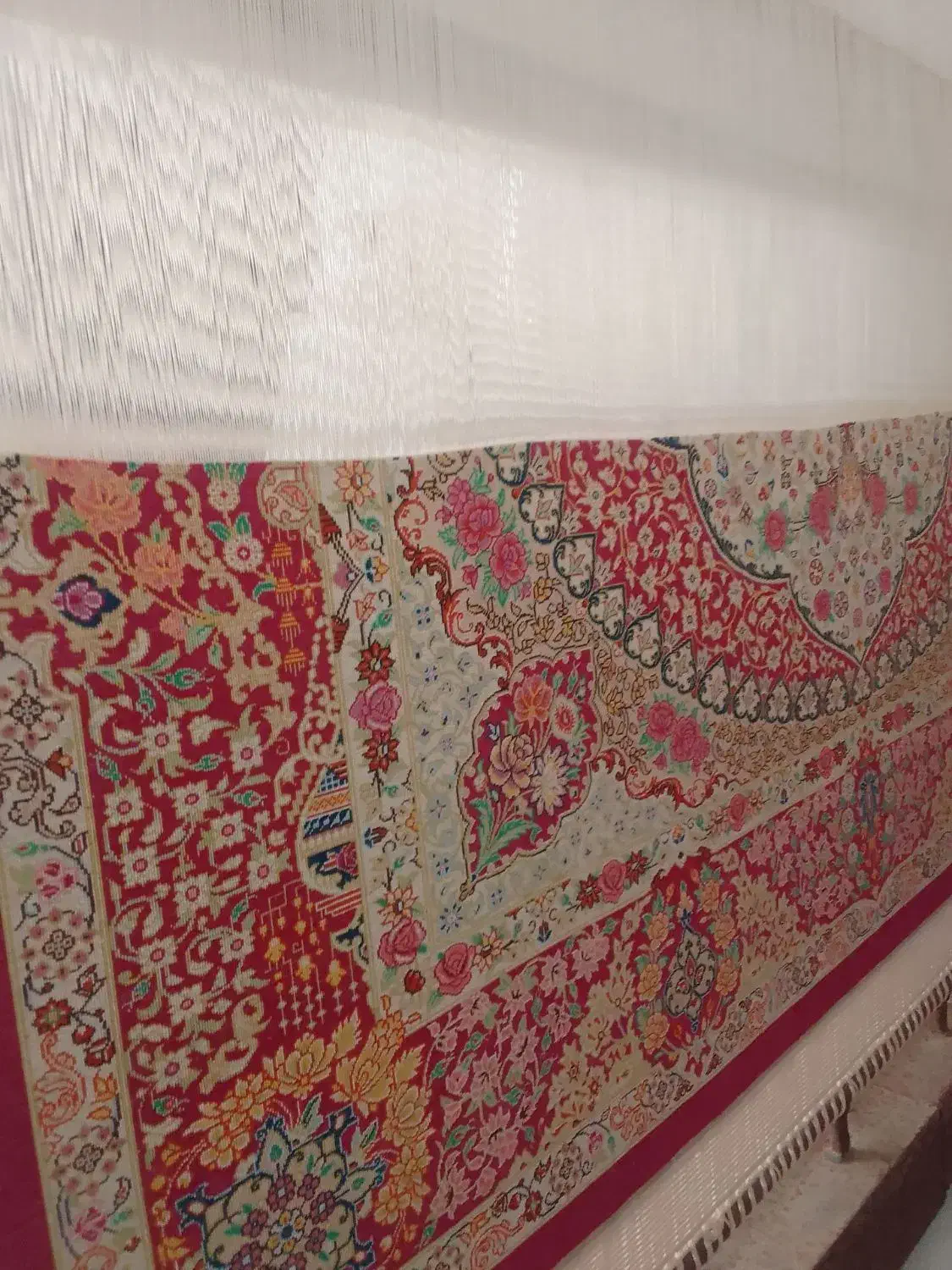 فروش فرش ابریشم|فرش|مراغه, |دیوار