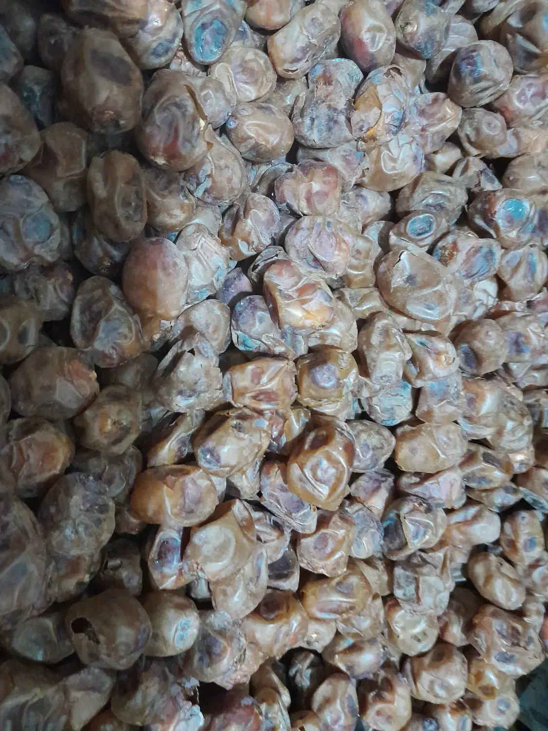 خوشمزه شیرین|حراج|سنندج, |دیوار