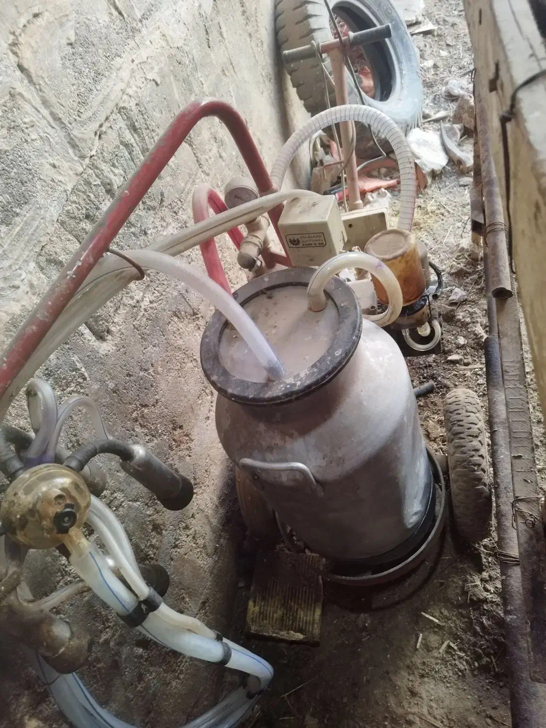 شیردوش|لوازم جانبی حیوانات|برخوار, |دیوار