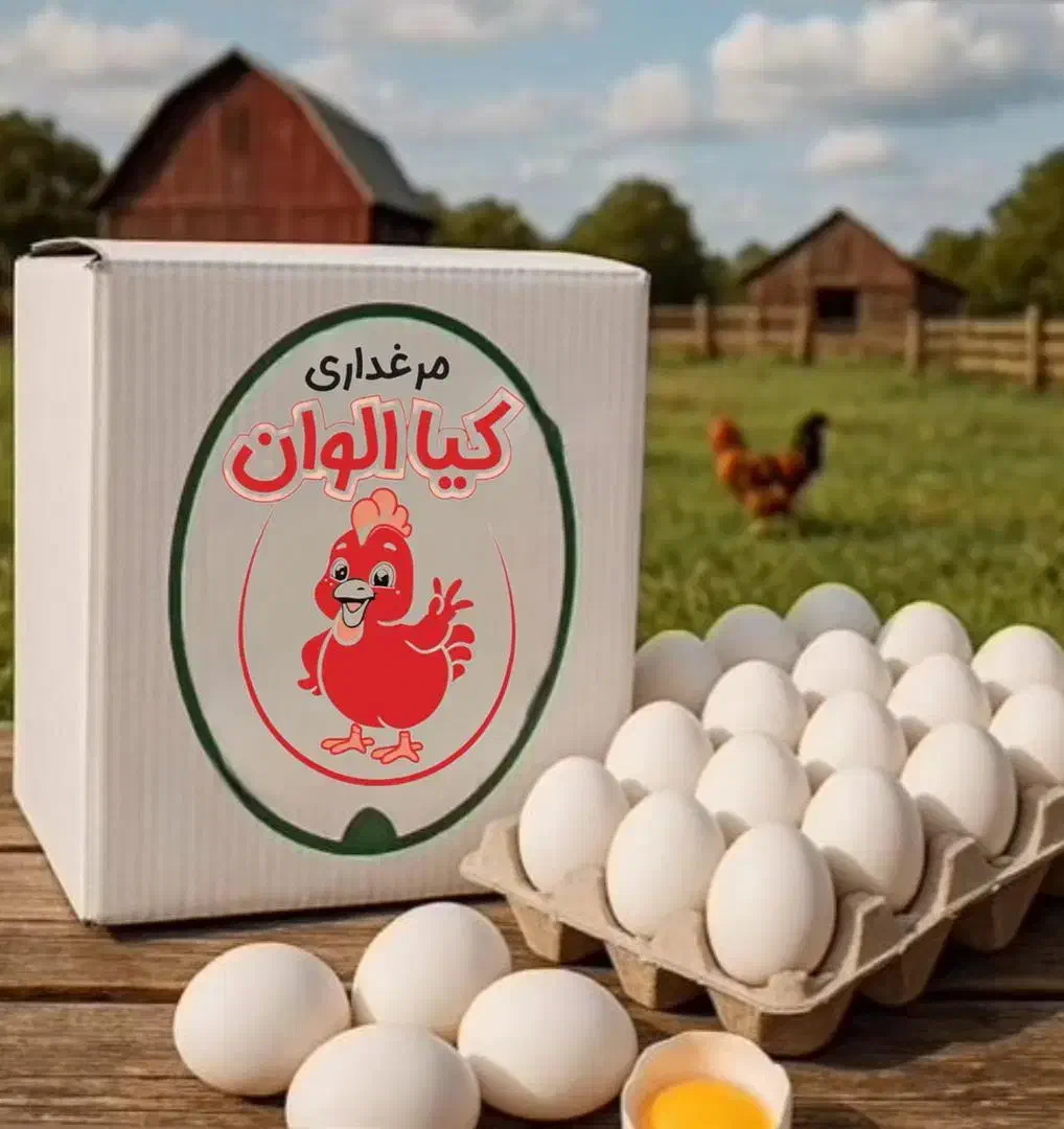 تخم مرغ|خوردنی و آشامیدنی|تهران, شهرآرا|دیوار