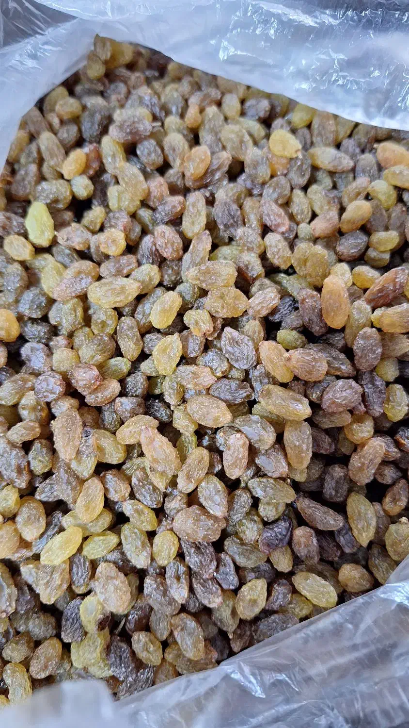 بادام وکشمش|خوردنی و آشامیدنی|مشکیندشت, |دیوار