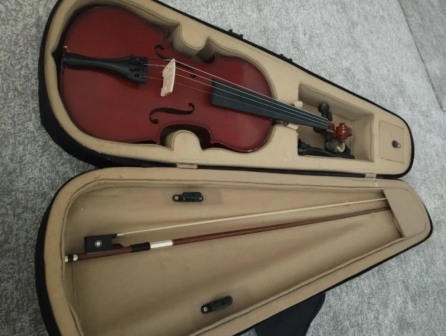 ویالون|ویولن|بندرعباس, |دیوار