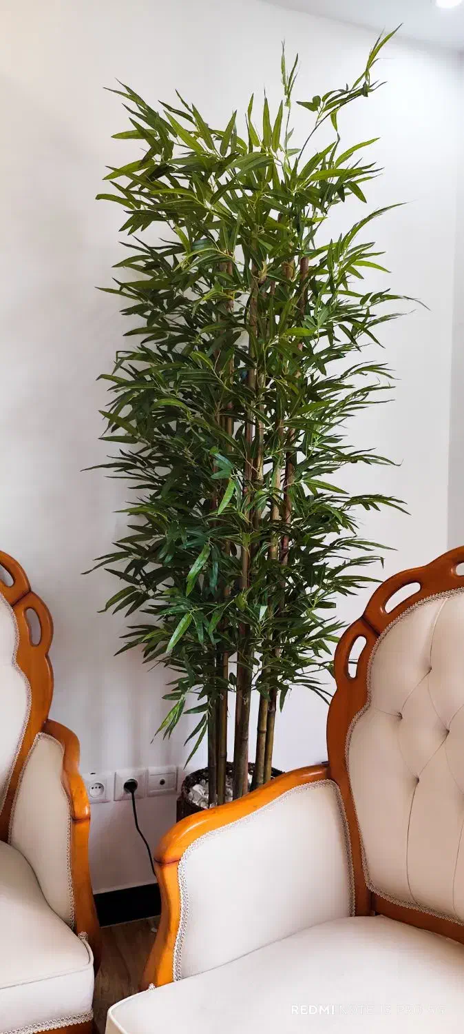 درختچه بزرگ|گل مصنوعی|سنندج, |دیوار