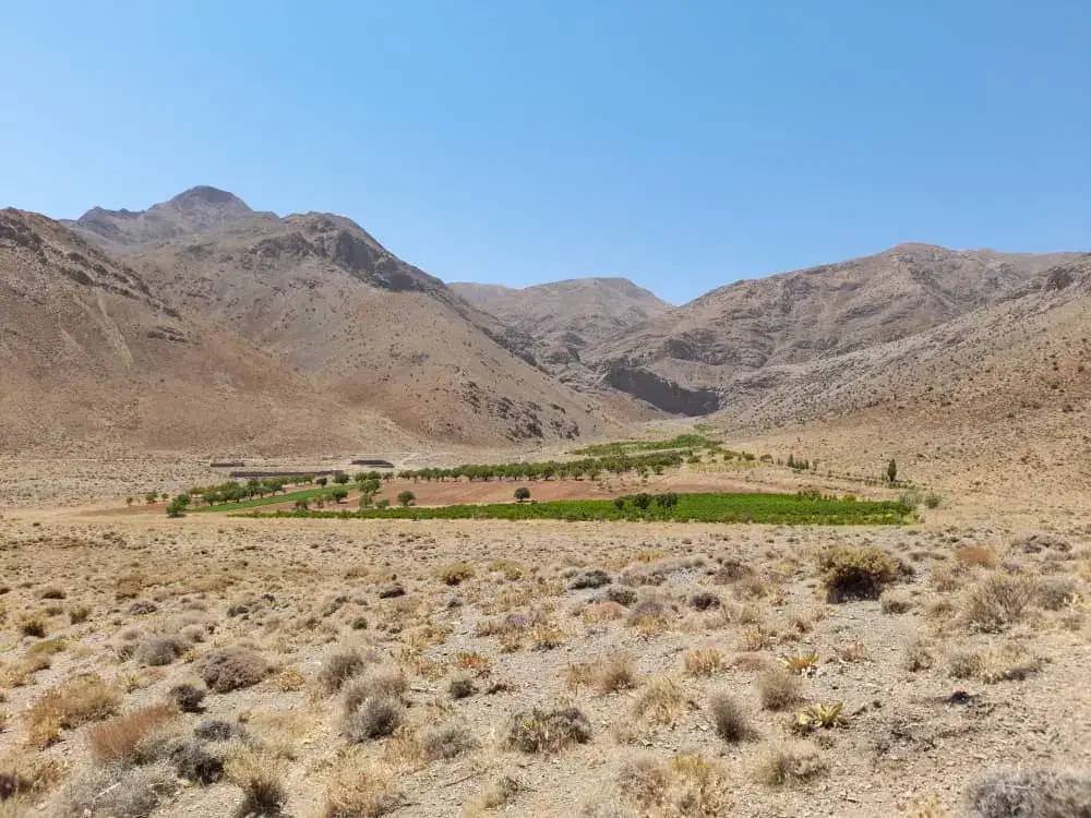 فروش مزرعه ۶ دانگ شخصی|فروش زمین و ملک کلنگی|بوانات, |دیوار