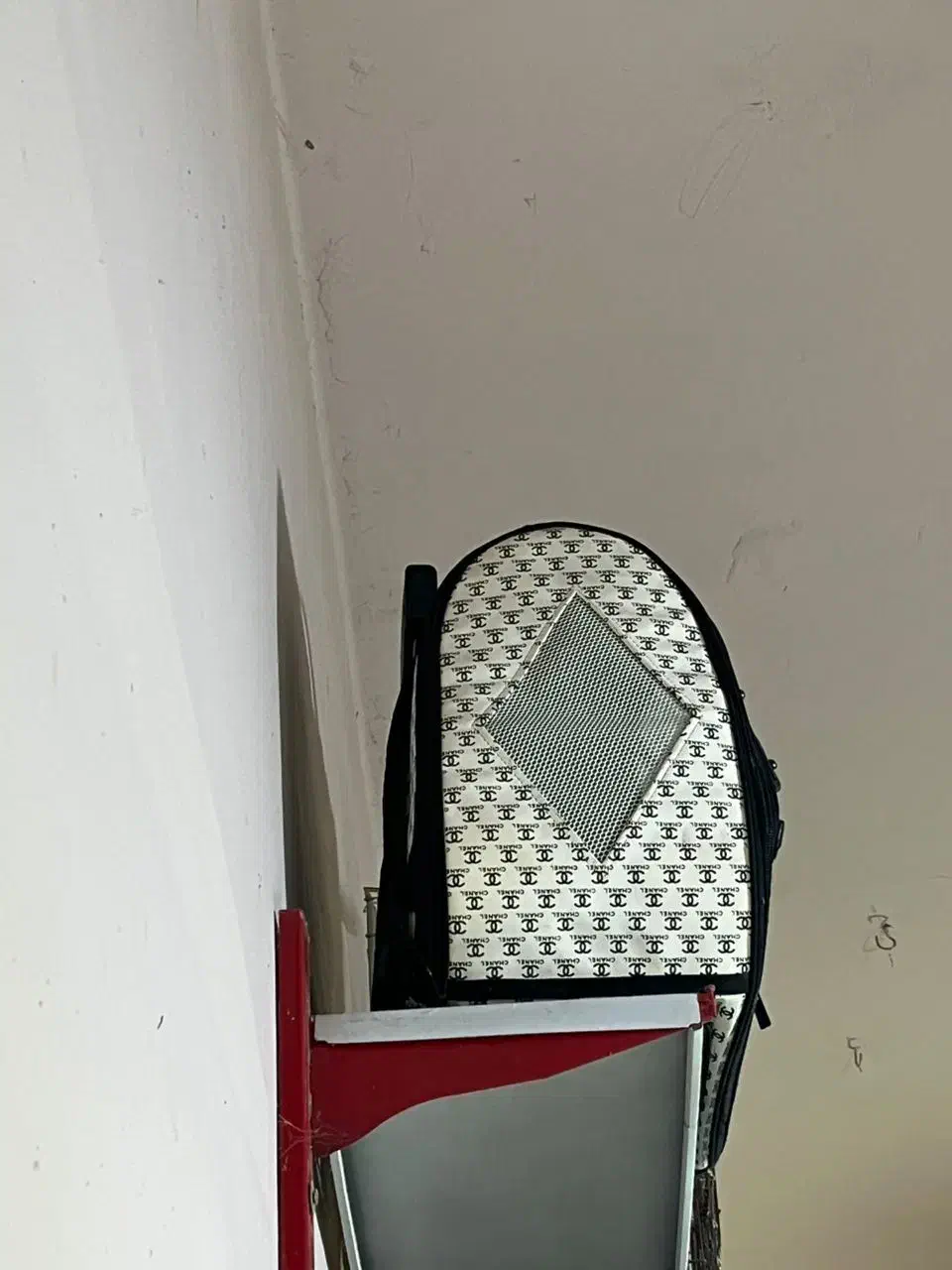 باکس برندChanel|لوازم جانبی حیوانات|چالوس, |دیوار