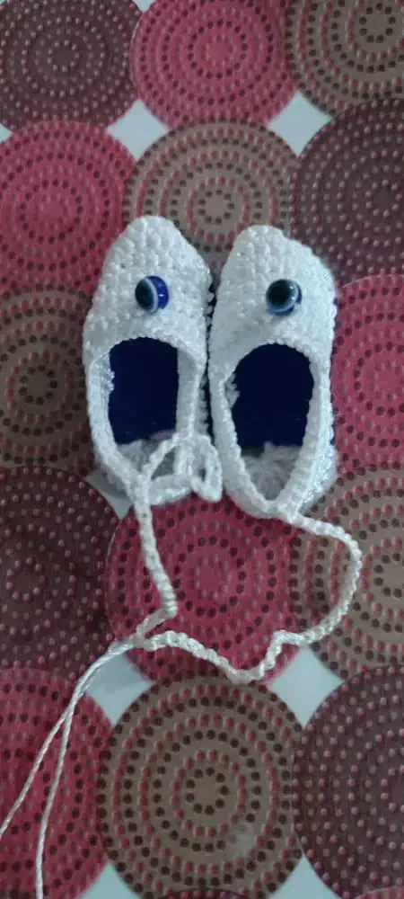 عروس هلندی|پرنده|بندر امام خمینی, |دیوار