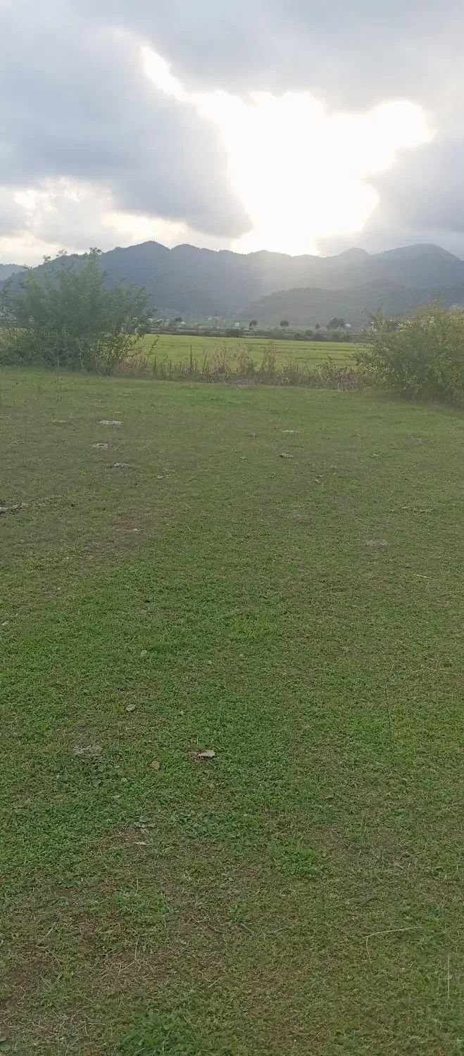 زمین کشاورزی|فروش زمین و ملک کلنگی|لوندویل, |دیوار