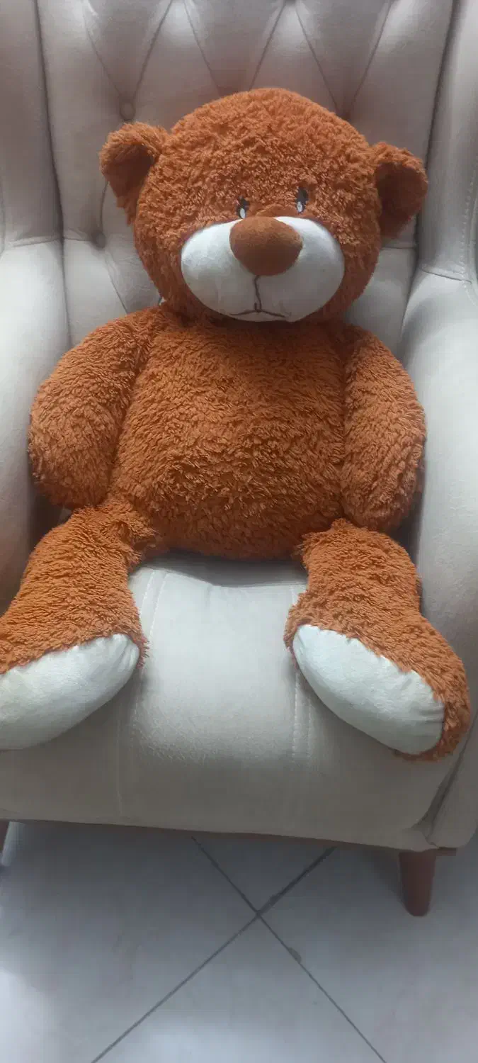 خرس|اسباب‌بازی بچه|قم, زنبیل آباد|دیوار