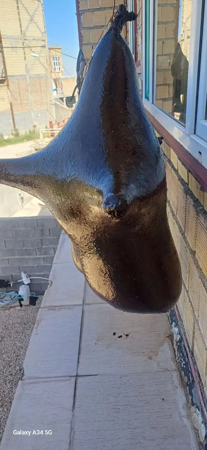 هیزه گوسفندی تازه درستش کردم تمیز ودرجه یک|خوردنی و آشامیدنی|سرپل ذهاب, |دیوار