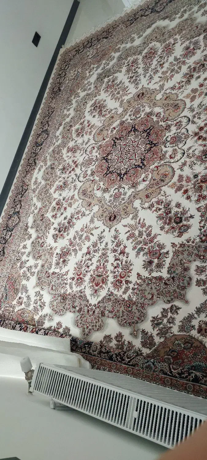 فرش ۱۲ متری|فرش|شیراز, کیان شهر|دیوار