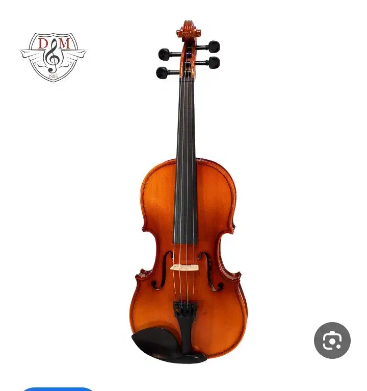 ویلون|ویولن|بندرعباس, |دیوار