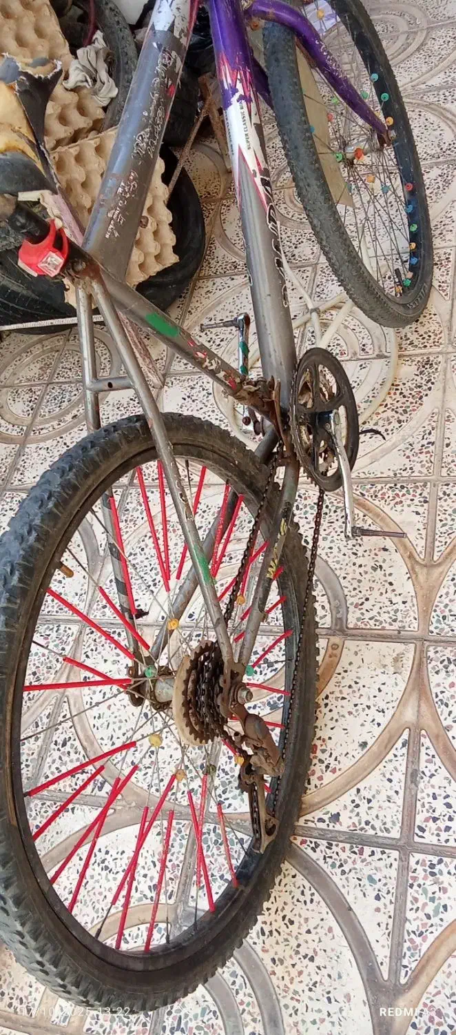 دوچرخه 26|دوچرخه، اسکیت، اسکوتر|بیجار, |دیوار