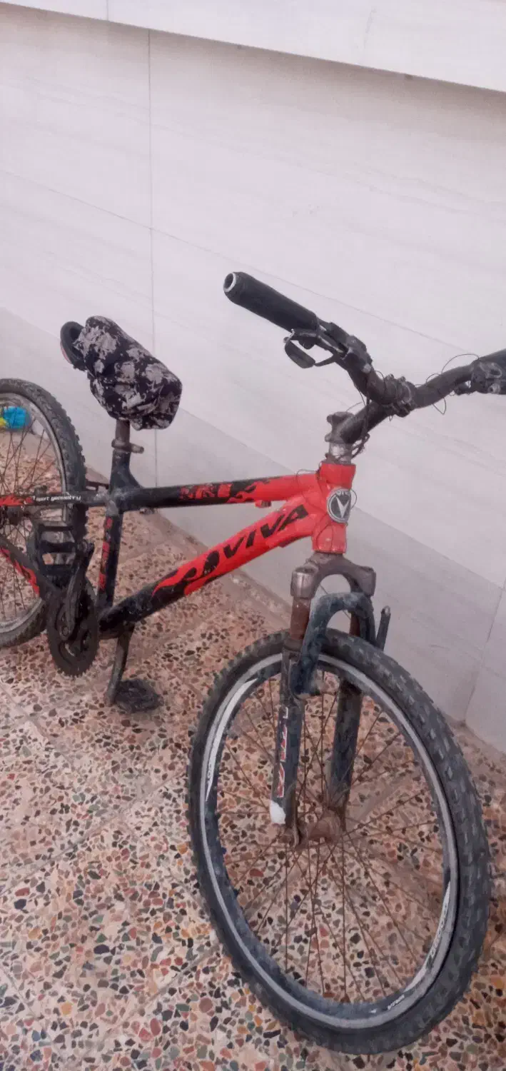 دوچرخه مدل ۲۴ ویوا|دوچرخه، اسکیت، اسکوتر|حمیدیه, |دیوار