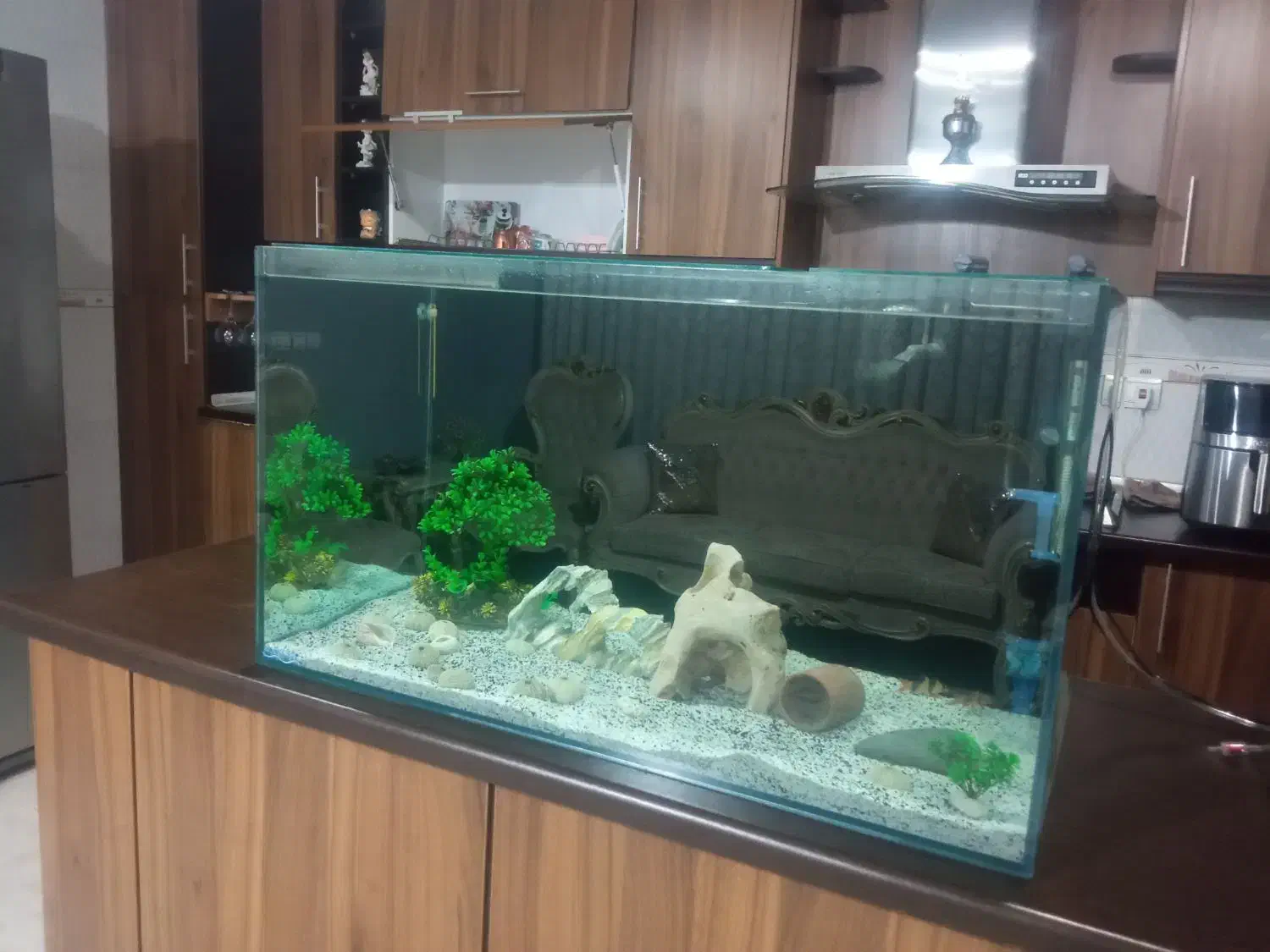 آکواریوم  با ماهی گوپی بالن گرید a لوچ دلقک|ماهی|اسلام‌شهر, شهرک انبیا|دیوار