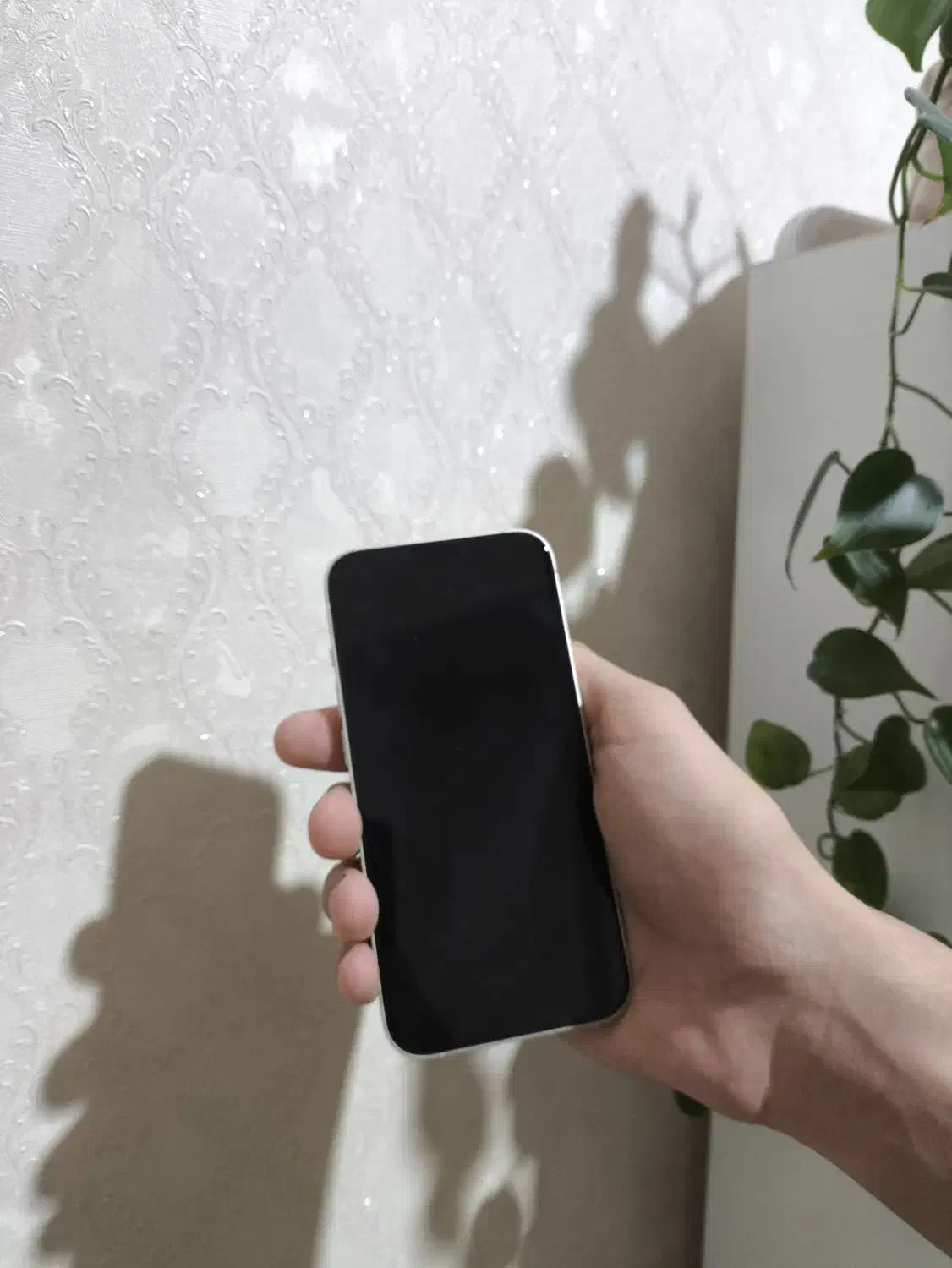 آیفون 13|موبایل|تبریز, |دیوار