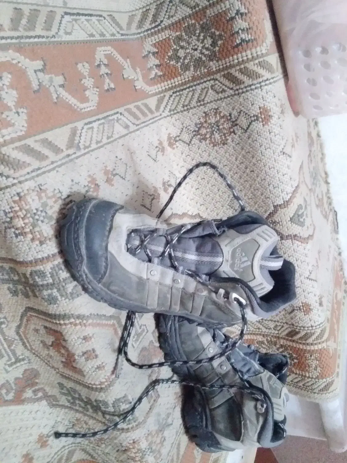 کفش کوهنوردی|کوهنوردی و کمپینگ|بیرجند, |دیوار