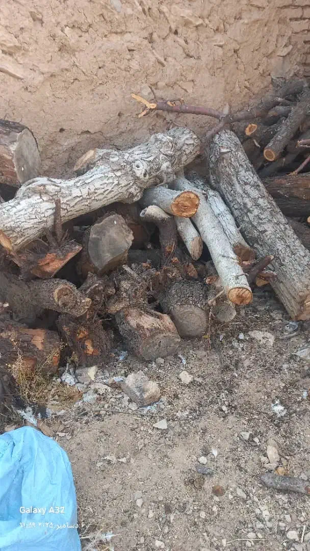 فروش جوب بادام|خدمات باغبانی و درختکاری|شهرکرد, |دیوار