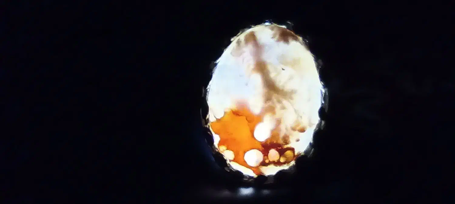 انگشتر نگین شجر|جواهرات|سراوان, |دیوار